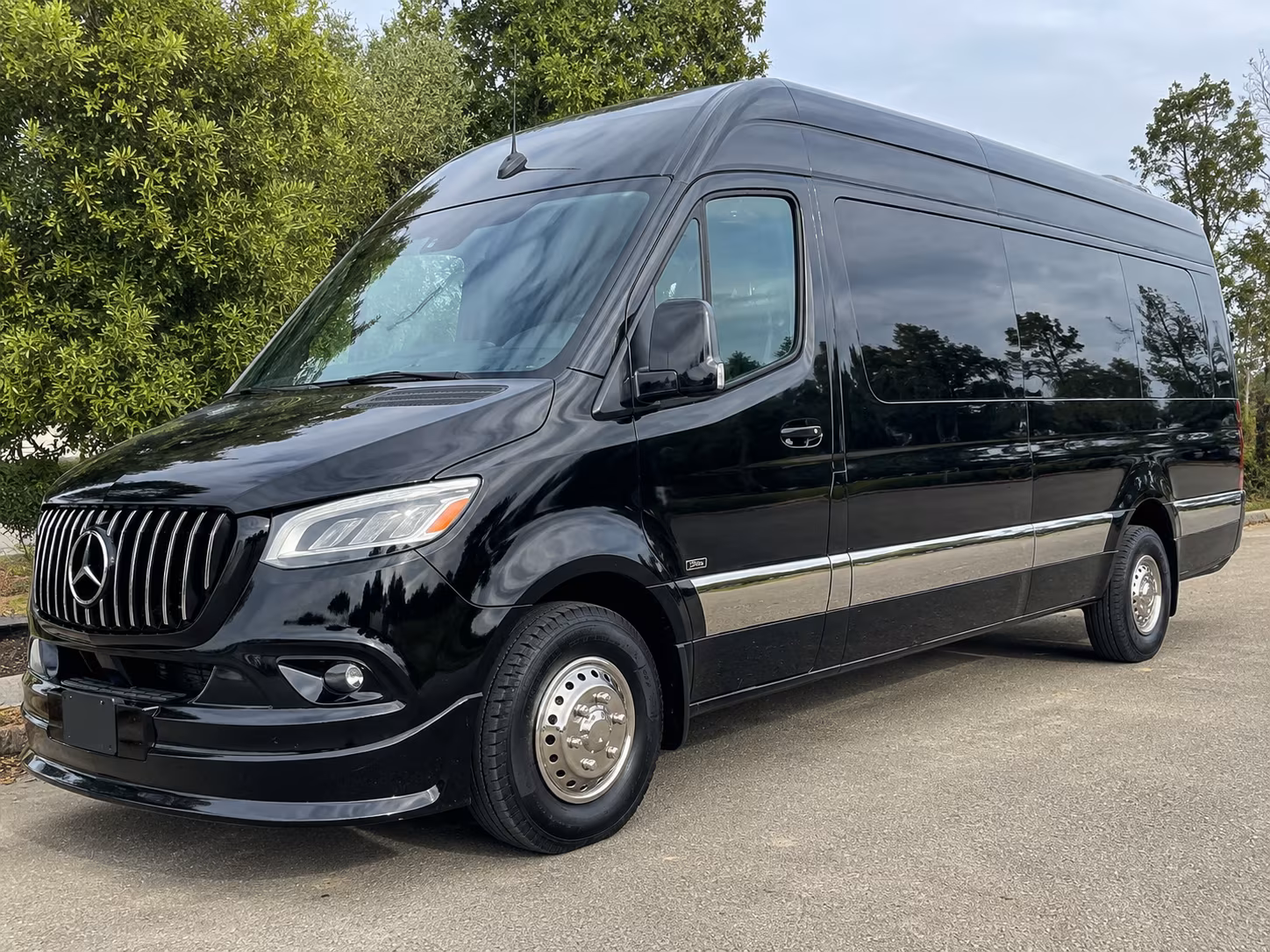 hemet sprinter van with driver