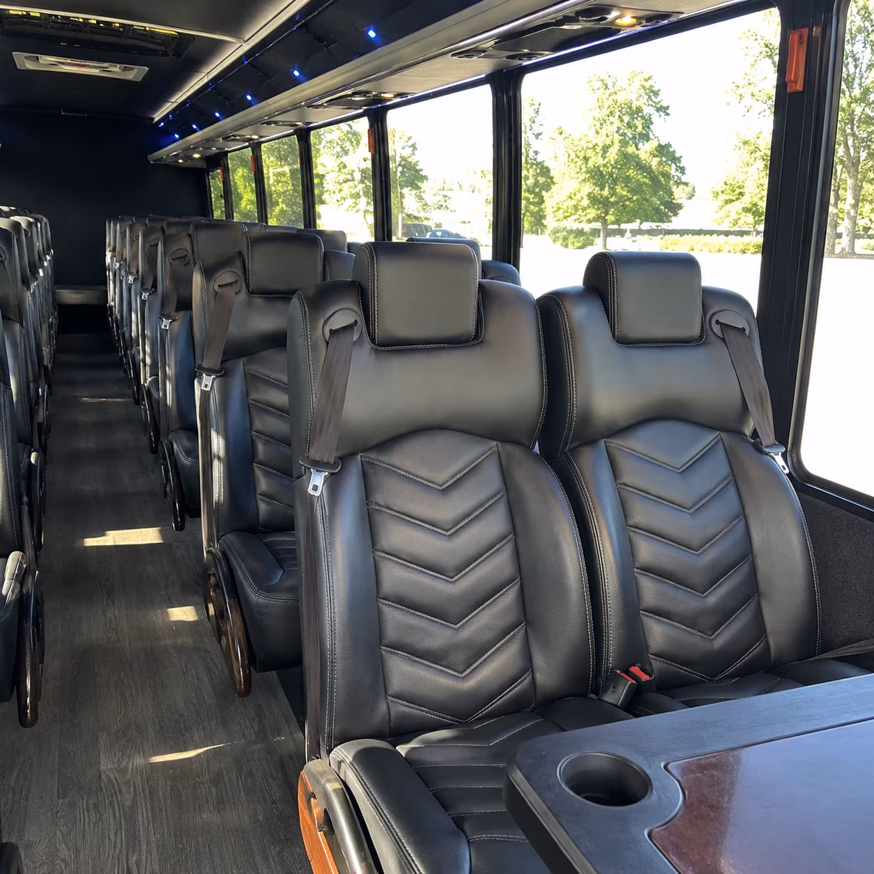 what kind of bus am i looking for and how does that change the price in hemet